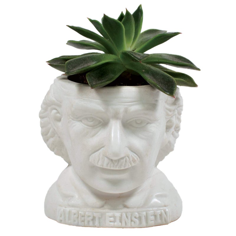 The Unemployed Philosophers Guild Albert Einstein Bust Ceramic Planter - Image 1